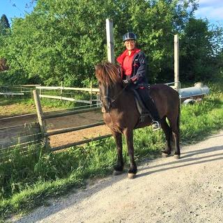 SPORTLICHES RATHAUS | Susanne Dornes