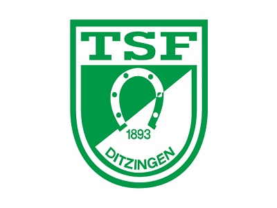 Personalie | TSF Ditzingen bekommen einen Geschäftsführer