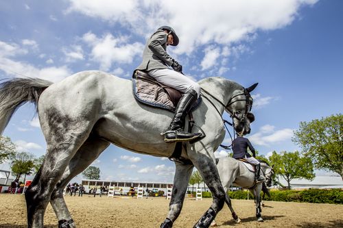VIELFALT DES SPORTS | Folge 19: Springreiten