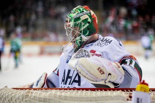 VIELFALT DES SPORTS | Folge 40: Eishockey