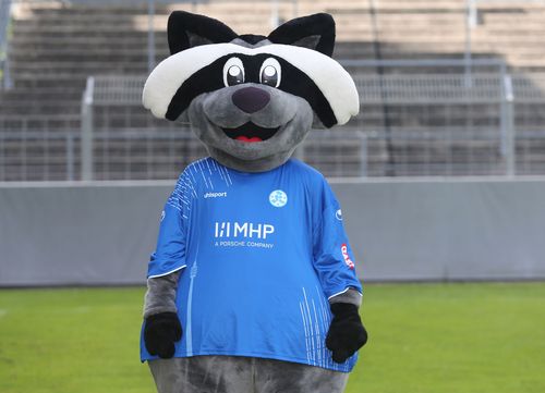 Die Fans der Stuttgarter Kickers haben 2015 mit großer Mehrheit bei einer Abstimmung entschieden, dass das neue Maskottchen "Waldi" heißen soll und dabei wohl mehr das Waldau-Stadion im Blick gehabt als einen nachtaktiven Waschbären. | Foto: Pressefoto Baumann Maskottchenparade | Folge 9: Waldi