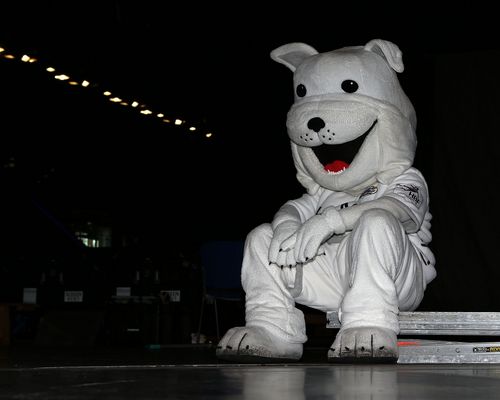 Sportveranstaltungen in dieser Woche