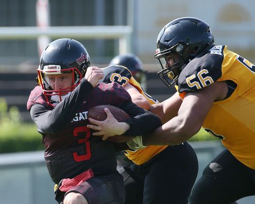 American Football | Leonberg Alligators steigen auf