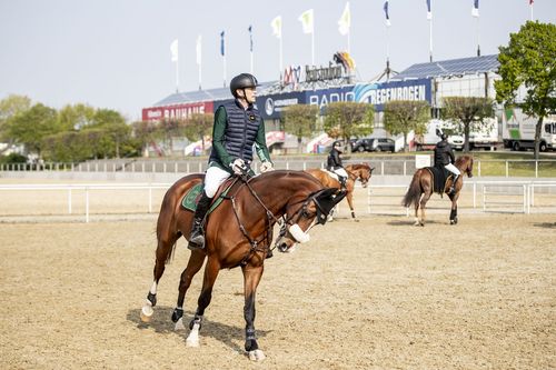 VIELFALT DES SPORTS | Folge 19: Springreiten