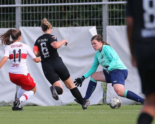 MIKRO AN! | Daniel Pfofe