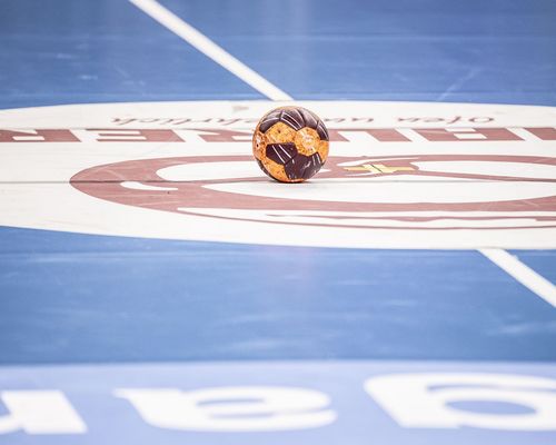 Handball | Verbände planen die Fusion