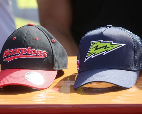 Kooperation | Scorpions und Surge arbeiten zusammen