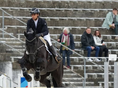 Pferdesport | Baden-Württemberg gewinnt Bundeswettkampf