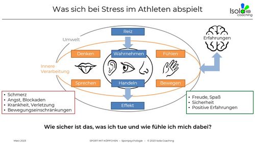 SPORTPSYCHOLOGIE | Frank Isola
