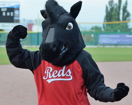 Maskottchenparade | Folge 6: Paule