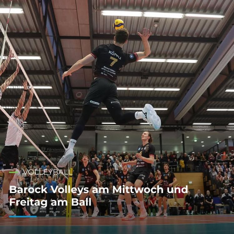 🏐 VOLLEYBALL 🏐 Barock Volleys am Mittwoch und am Freitag am Ball