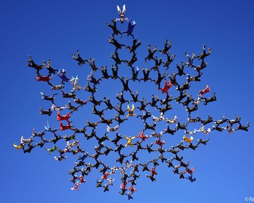 Fallschirmspringen | Rittershofer an Weltrekord beteiligt