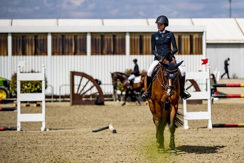 VIELFALT DES SPORTS | Folge 19: Springreiten