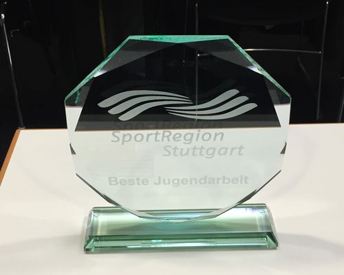 Handball | SportRegion zeichnet TuS Metzingen aus