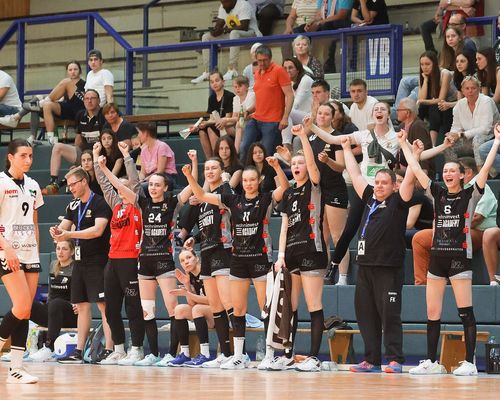 Handball | Waiblinger Frauen steigen auf