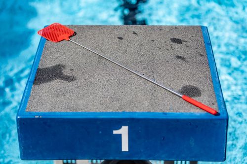 Triathlon-Premiere in Weinstadt, anlässlich des Stadtjubiläums wird der erste WeinstadtTriathlon durchgeführt. | Foto: Benjamin Lau Sportveranstaltungen in dieser Woche