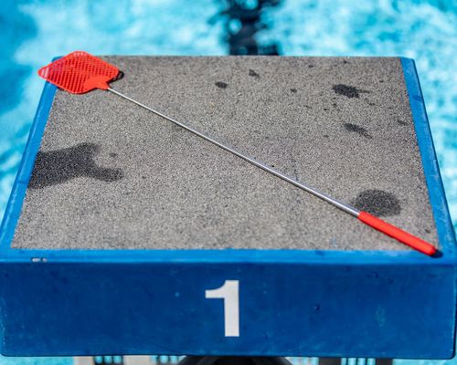 Sportveranstaltungen in dieser Woche