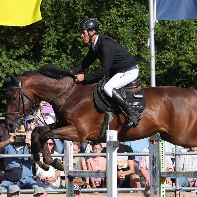 🏇🏼 PFERDESPORT 🏇🏼 Großes Reitturnier beim Reiterverein Waiblingen