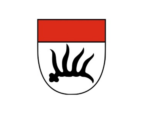 Göppingen | Digitaler Vereinstag am 28. Februar