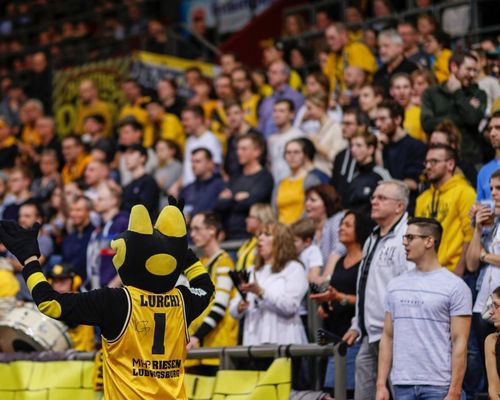 Teamsport BW | Klubübergreifendes Marketing-Konzept
