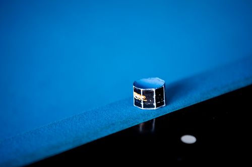 VIELFALT DES SPORTS | Folge 50: Billard