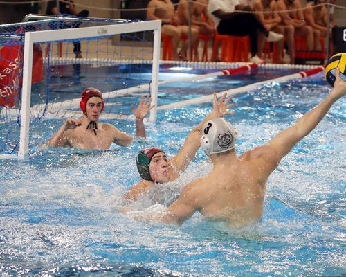 Regio TV | Ludwigsburger Sieg im Wasserball-Derby
