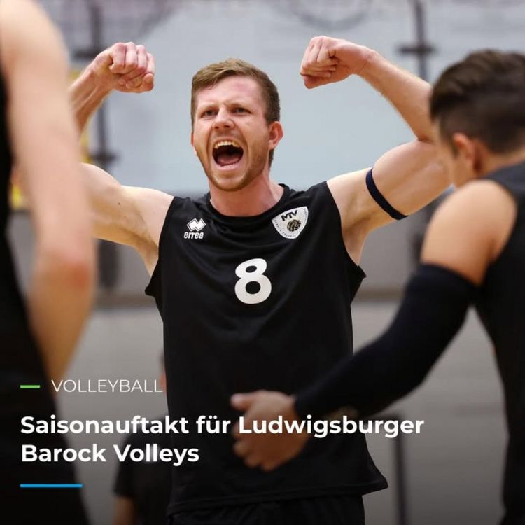 🏐 VOLLEYBALL 🏐 Saisonauftakt für Ludwigsburger Barock Volleys