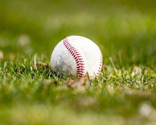 Baseball | Baden-Württemberg gewinnt Länderpokal