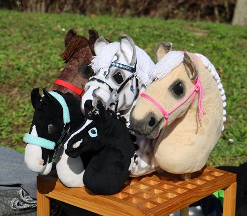 Der WPSV hat die Chance erkannt, mit Hobby Horsing bereits sehr junge Kinder an den Pferdesport heranzuführen. | Foto: IMAGO / SKATA Pferdesport | Hobby Horsing wird keine zusätzliche Sparte