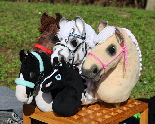 Pferdesport | Hobby Horsing wird keine zusätzliche Sparte