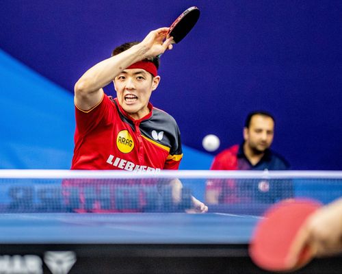 Tischtennis | Dang Qiu wird Europameister