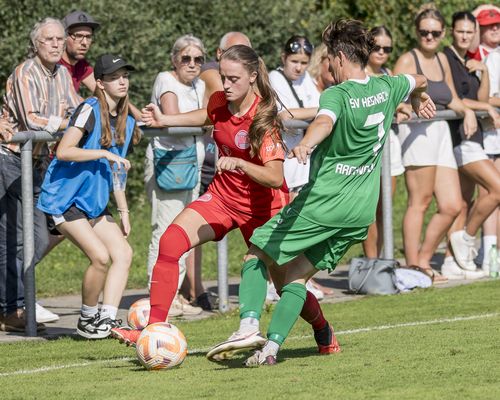 Kooperation | Hegnach arbeitet mit VfL-Ladies zusammen