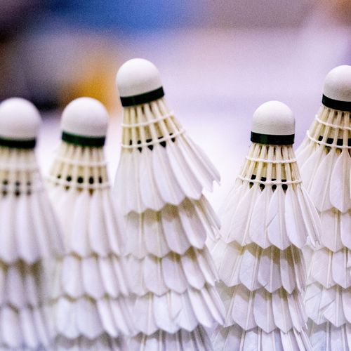 Sportveranstaltungen in dieser Woche