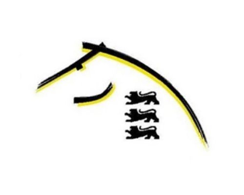 Pferdesport | Präsident Dieterich bleibt an der Spitze