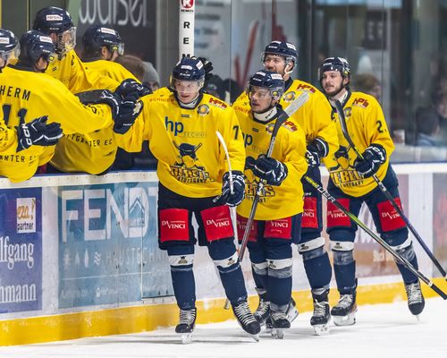 Kooperation | Rebels, Wild Wings und Wölfe