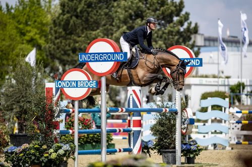 VIELFALT DES SPORTS | Folge 19: Springreiten