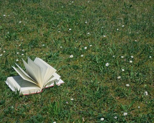 Lesung |  Fußball am 14. Mai im Mittelpunkt