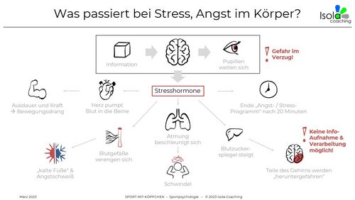 SPORTPSYCHOLOGIE | Frank Isola