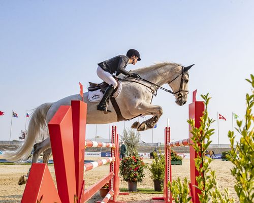 VIELFALT DES SPORTS | Folge 19: Springreiten