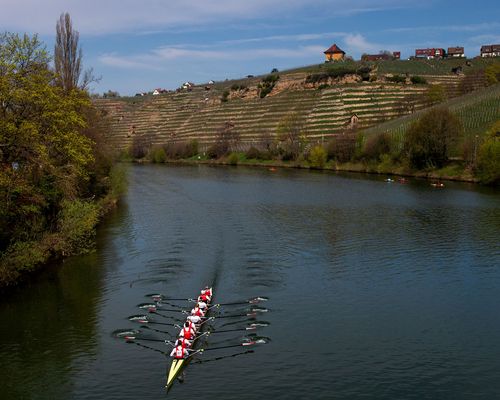 Neckartagung | SportRegion ist Kooperationspartner 