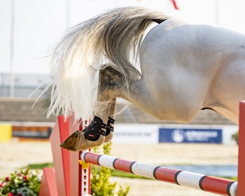 Auszeichnung | Faires Verhalten wird honoriert