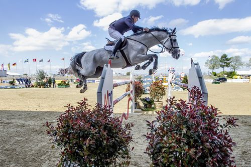 VIELFALT DES SPORTS | Folge 19: Springreiten