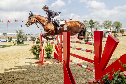 VIELFALT DES SPORTS | Folge 19: Springreiten