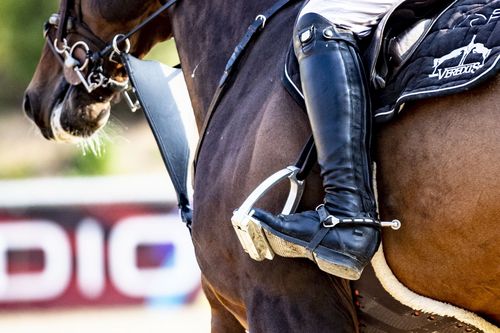 VIELFALT DES SPORTS | Folge 19: Springreiten