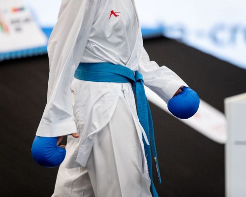 Karate | Steiner und Sekot setzen sich durch