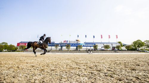 VIELFALT DES SPORTS | Folge 19: Springreiten