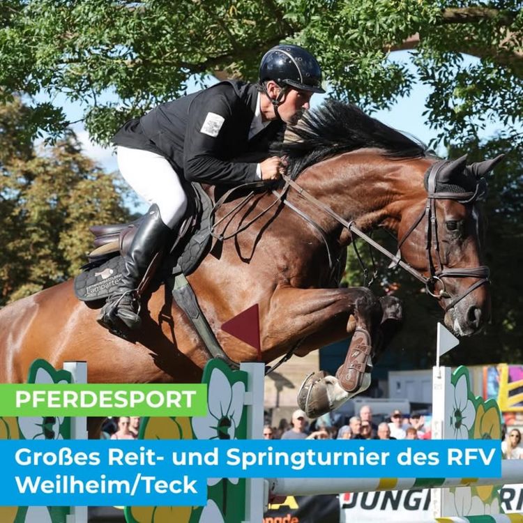 🐎 PFERDESPORT 🐎 Großes Reit- und Springturnier des RFV Weilheim/Teck