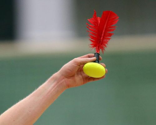 Indiaca | Enzweihingen wird Deutscher Vizemeister