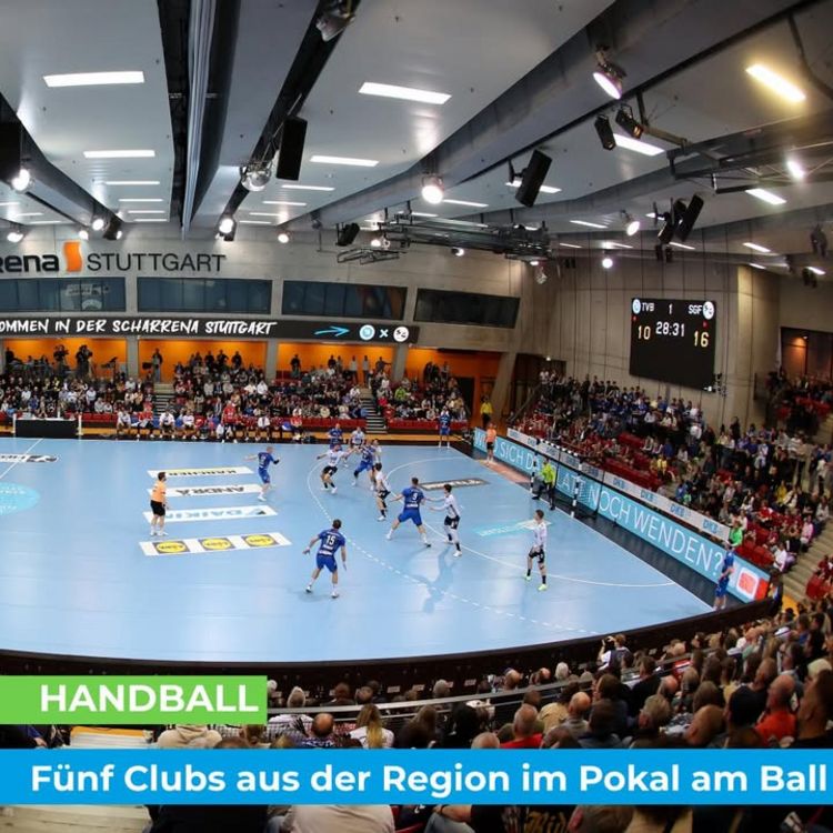 🤾‍♂️ HANDBALL 🤾 Fünf Clubs aus der Region im Pokal am Ball
