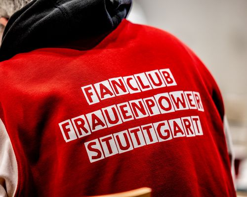 VfB TV | Neuer Cheftrainer Nico Schneck im Gespräch